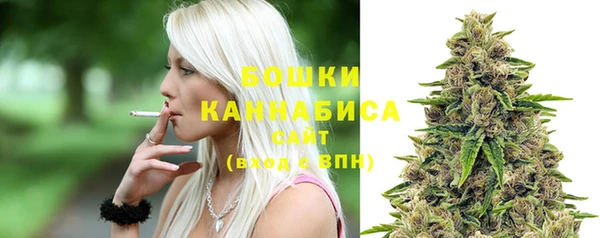 кокс Белокуриха