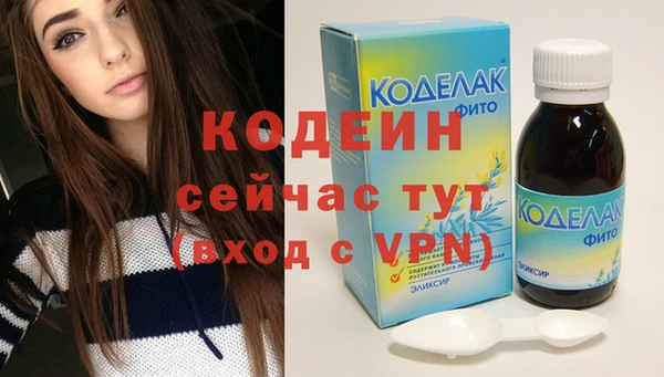 крисы Магас