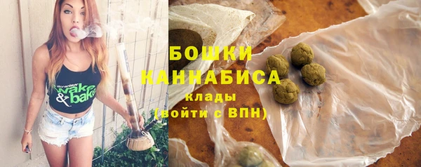крисы Магас