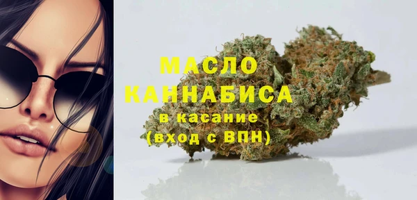 крисы Магас