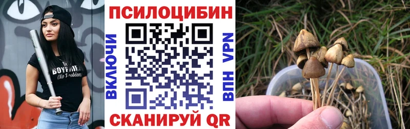 Псилоцибиновые грибы Psilocybine cubensis  Тутаев 