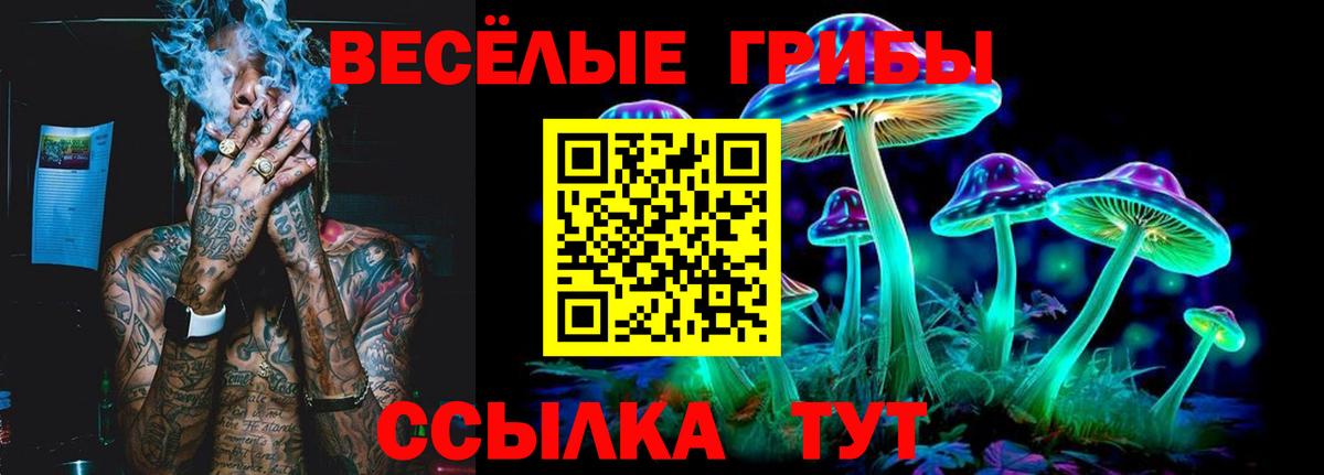 Псилоцибиновые грибы прущие грибы  Вход с VPN  Псилоцибиновые грибы мухоморы  Тутаев 
