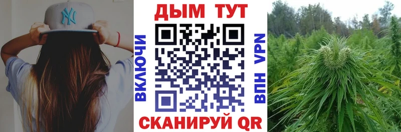 Каннабис план Тутаев